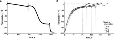 Optimizing aquaculture-scale common carp artificial reproduction: a novel approach to sperm cryopreservation using large-volume containers and elevated thawing temperatures